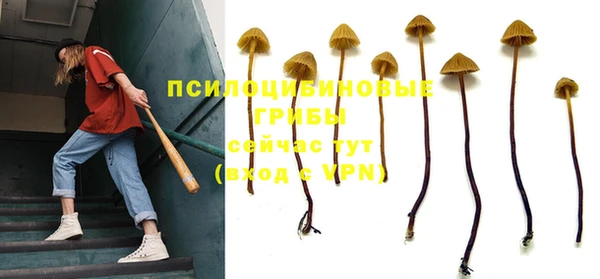 соль ск Балабаново