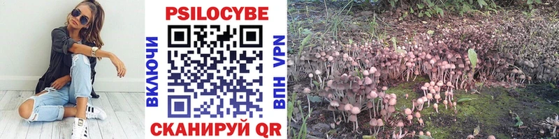 Купить где  Болгар  Псилоцибиновые грибы мицелий 